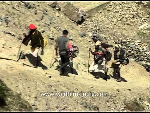 Hindu devotees travel by foot, ride ponies : Amarnath Yatra