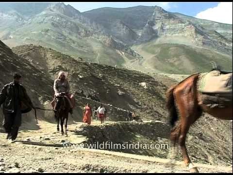 Devotees ride ponies en route to holy cave of Amarnath