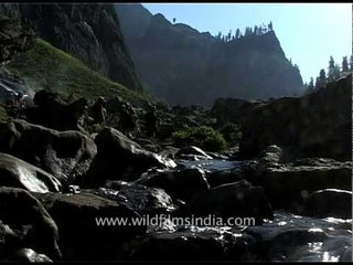 Hindu pilgrims on their way to Amarnath cave shrine