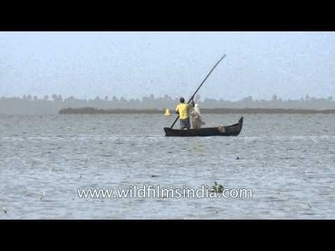 Fishing in Vembanad Lake - Kerala