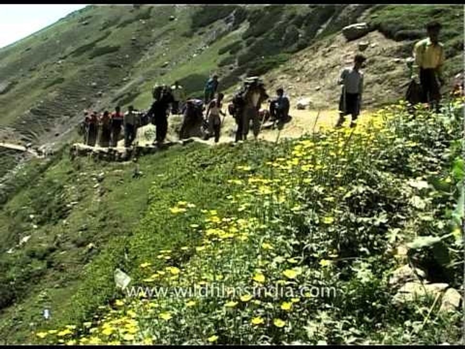 Hindu pilgrims walk towards the cave shrine of Amarnath