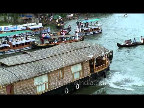 Boatmen paddling hard to win during the Champakulam boat race - Kerala