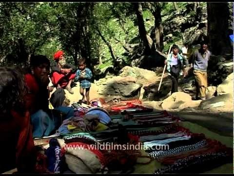 Pilgrims on their way to pay obeisance at Amarnath cave shrine