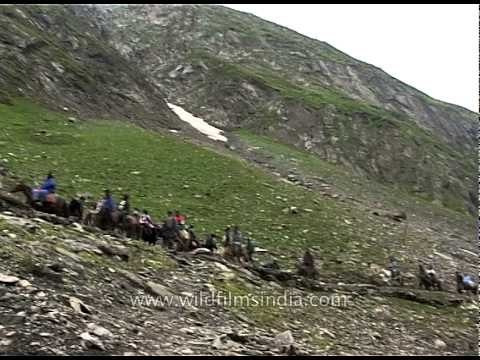 Devotees riding ponies to reach Amarnath Temple