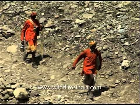 Devotees on the way to Sheshnag camp during Amarnath yatra