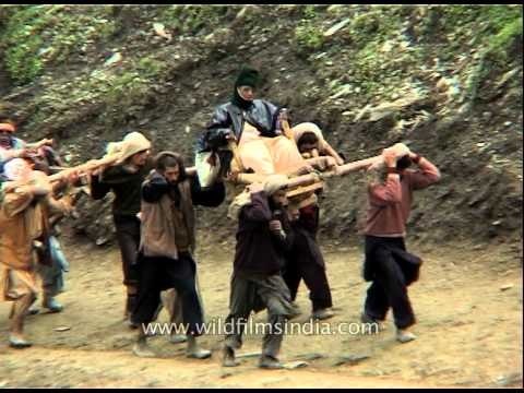 Amarnath pilgrims carried on palanquins by Kashmiri bearers