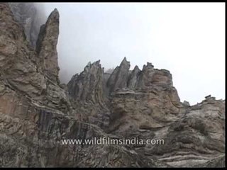 Fold mountains in the Kashmir Himalaya: rare geographical feature