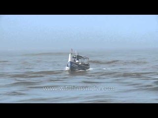 Motorboat sailing on Arbian sea - Kerala