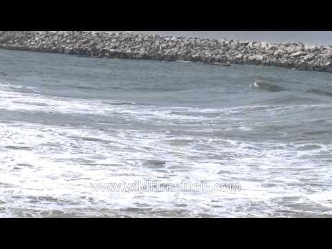 Waves hitting the shores - Kerala