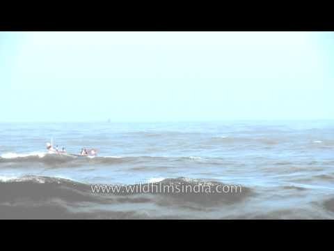 Fishing boat through the waves of Arabian sea