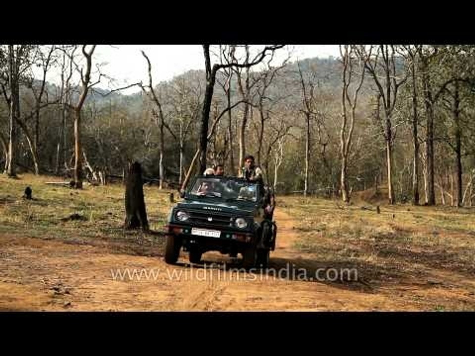 Denwa Backwater Escape : an exclusive wildlife safari lodge