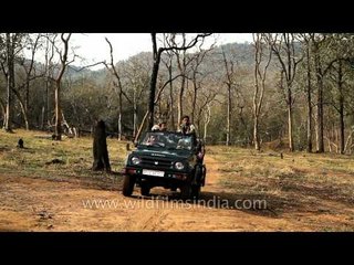 Denwa Backwater Escape : an exclusive wildlife safari lodge