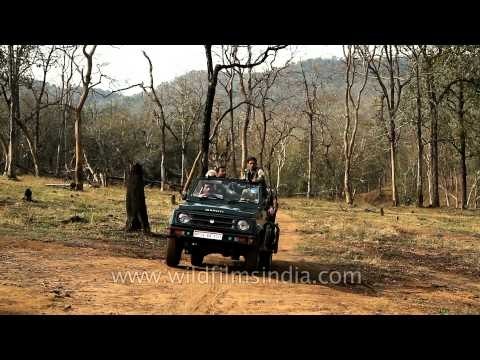 Denwa Backwater Escape : an exclusive wildlife safari lodge