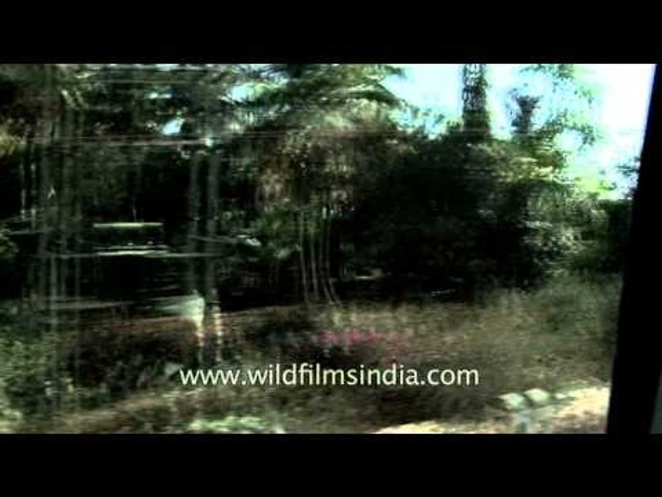 Driving towards Mysore, Karnataka