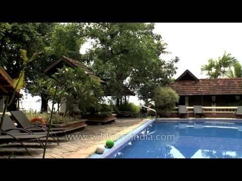 Poolside: Punnamada backwater resort, Alappuzha