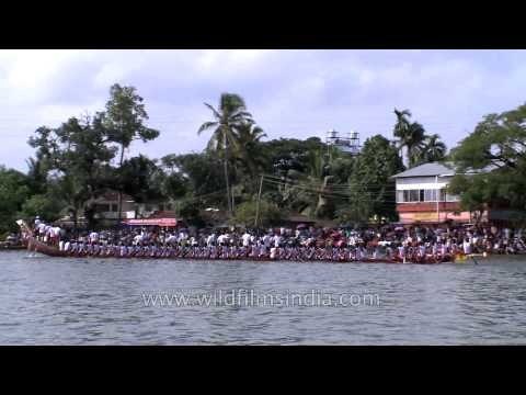 Kerala backwaters witnessing Champakulam snake boat race