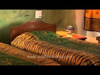 Bandipur safari lodge: Karnataka