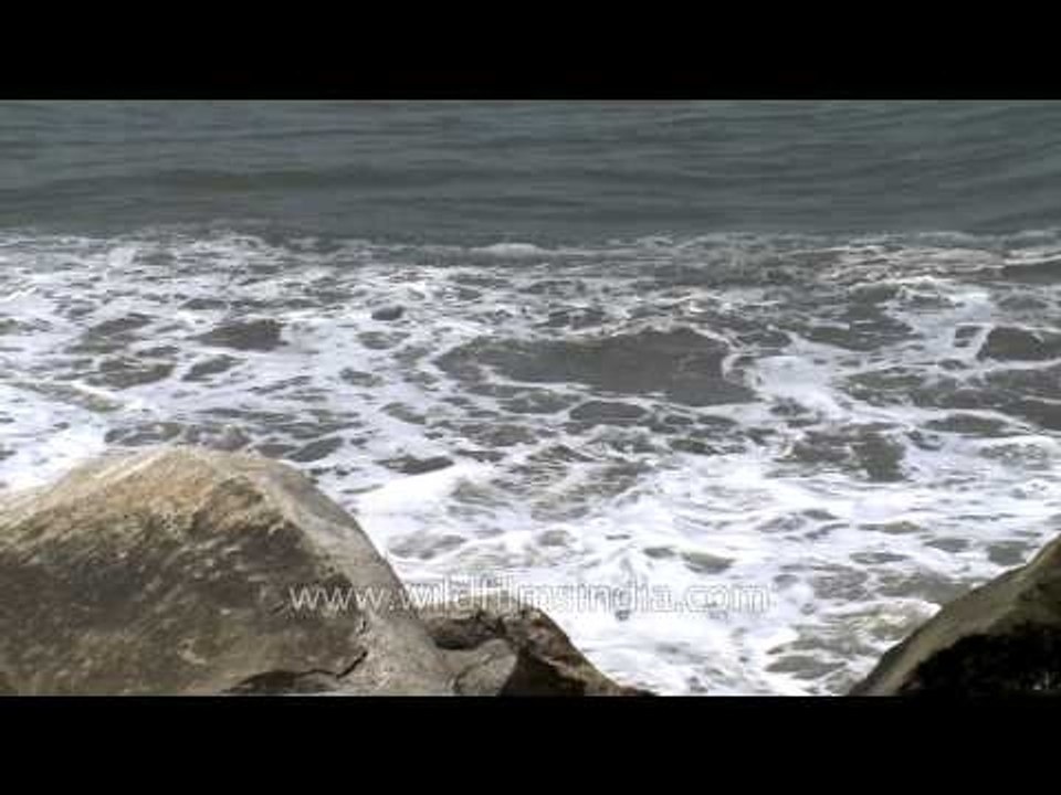 Waves of Arabian sea as seen from Neendakara Beach, Kerala