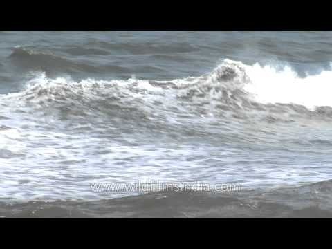 Arabian Sea in Quilon, Kerala