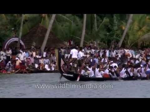Oarsmen row boat at Champakulam Boat race in Alleppey