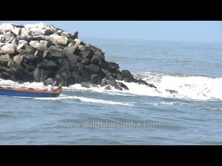 Fishing boats and fishermen at Neendakara Port - Kerala