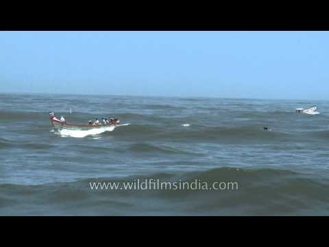 Traditional motorboats in Arabian sea - Neendakara, Kerala