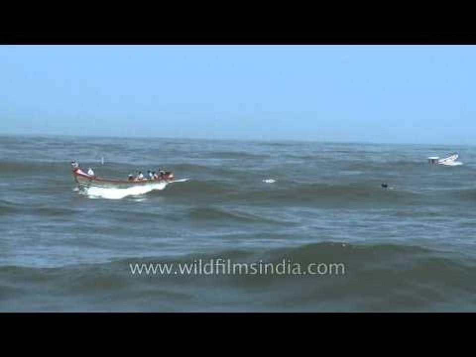 Traditional motorboats in Arabian sea - Neendakara, Kerala