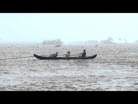 Fishing in Vembanad Lake - Kerala