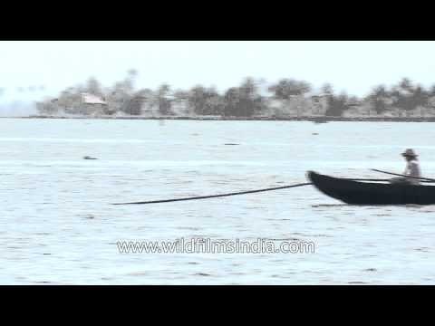 Fishermen pulling fishing net on Vembanad Lake - Kerala