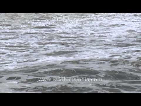 Rolling sea waves in Neendakara beach, Kerala