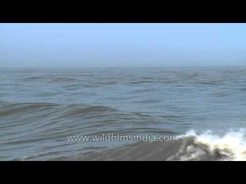 Splashing waves hitting the rocks of Neendakara Beach, Kerala