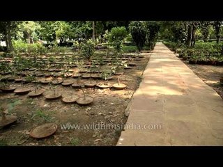 Sunder Nursery gardens in Delhi