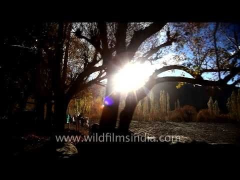 Play of sunshine and shadows in Ladakh drive-through video