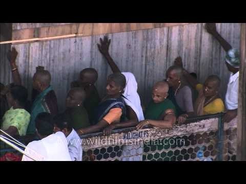 Devotees with shaved heads queue at Kalighat Kali Temple in Kolkata