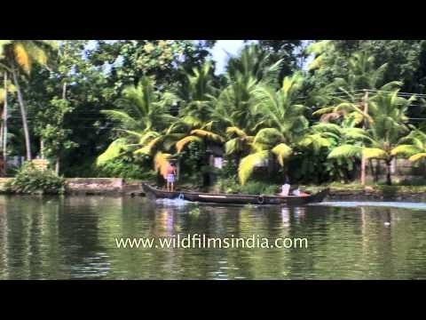 Motor boat sailing down the backwaters of Kerala
