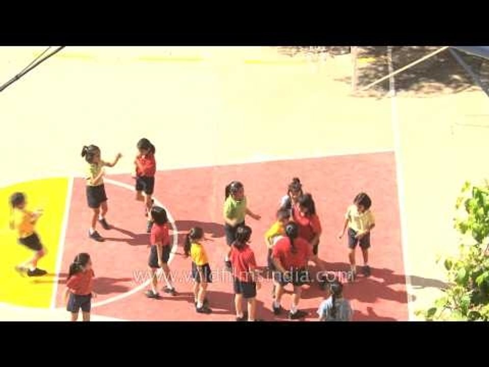 Basketball court: The Shri Ram School, Delhi