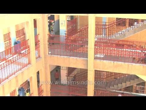 Corridors of The Shri Ram School, Vasant Vihar