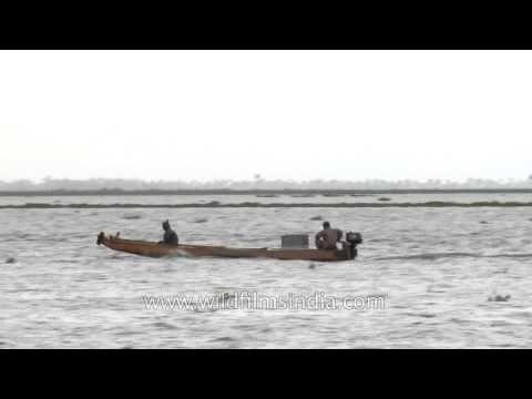 Cruising on backwaters of Kerala - India