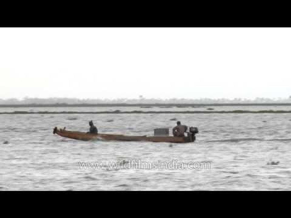 Cruising on backwaters of Kerala - India