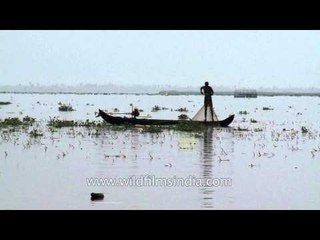 Local boatmen fishing in backwaters of Kerala - India