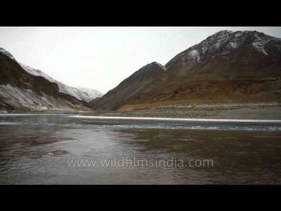 Confluence of Indus and Zanskar rivers in Ladakh