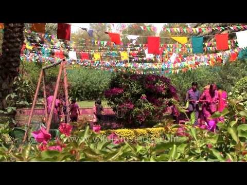 Indians gather to celebrate Holi festival in Jodhpur