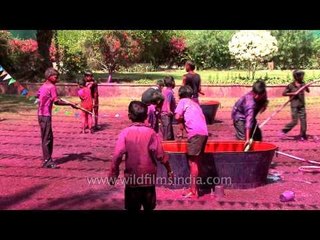 Children play with coloured water at Jodhpur
