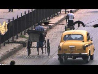 Yellow Ambassador taxi : Prominent transport of Kolkata
