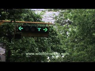 Busy traffic in Kolkata city