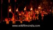 Priests waving multi-tiered lamp during evening aarti - Uttar Pradesh