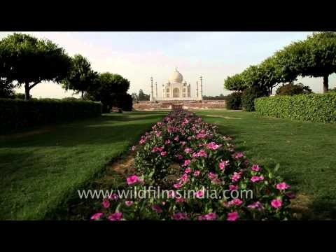 Taj Mahal: View from mehtab bagh across the river