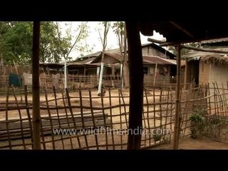 Little Assamese girl with macaque monkey sitting on her shoulder