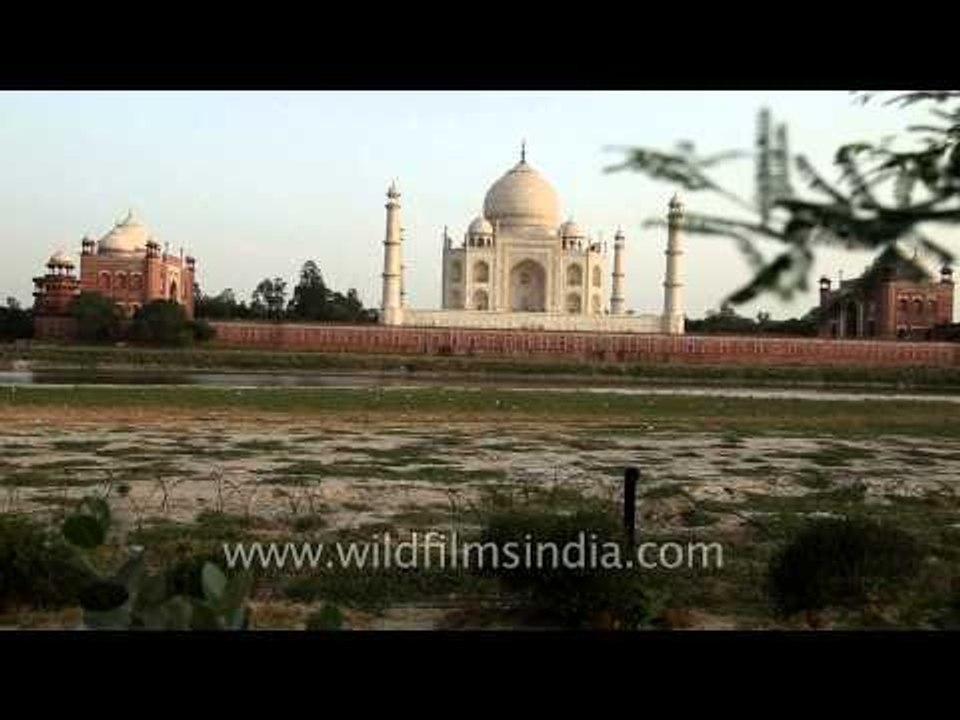 View of Taj Mahal from Mehtab Bagh