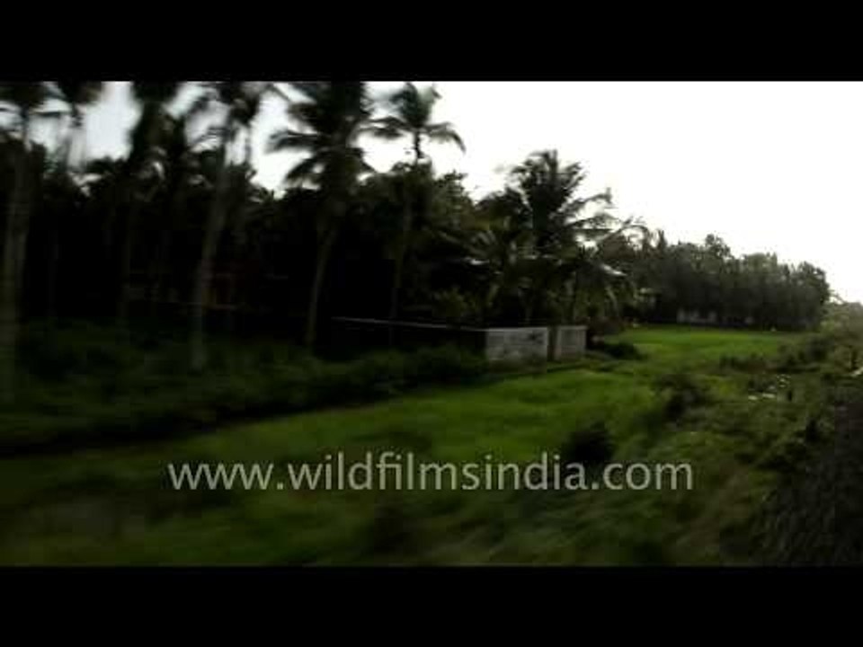 Passing green fields: Train journey to Kerala